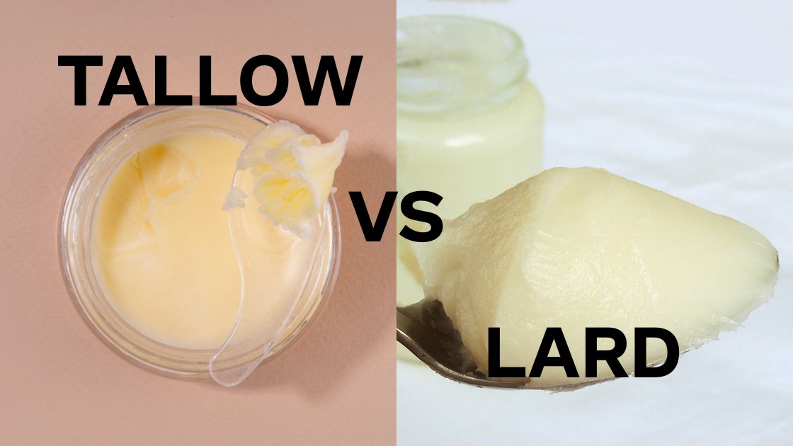 Lard vs Tallow